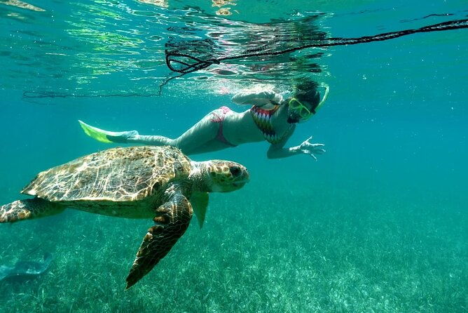 snorkeling-at-silk-and-moho-caye