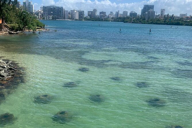 snorkeling-guided-tour-experience-in-condado-lagoon