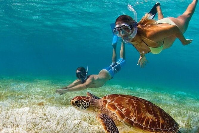 snorkeling-private-tour-in-montego-bay