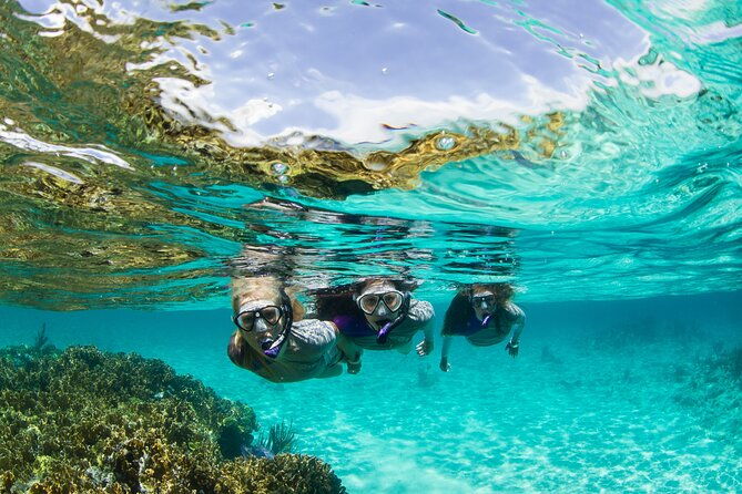 snorkeling-tour-with-fish-and-turtles-in-san-juan