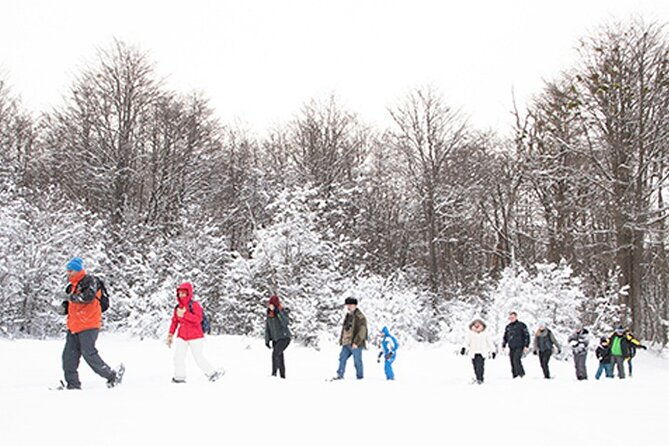 snow-day-on-snowmobiles-snowshoe-hike-and-culipatin