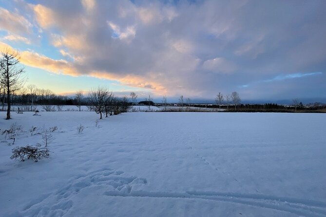snow-view-sauna-in-naganuma
