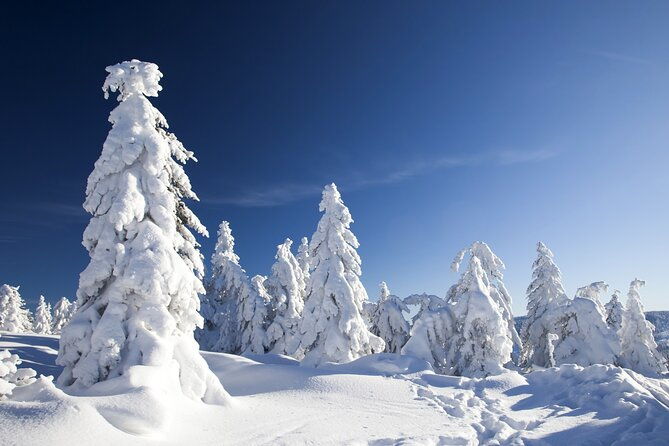snowmobile-safari-2h