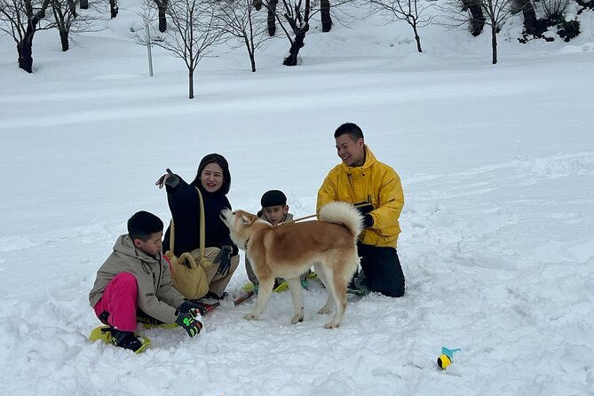 snowshoe-experience-in-akita-yuzawa-winter-park-with-an-akita-dog