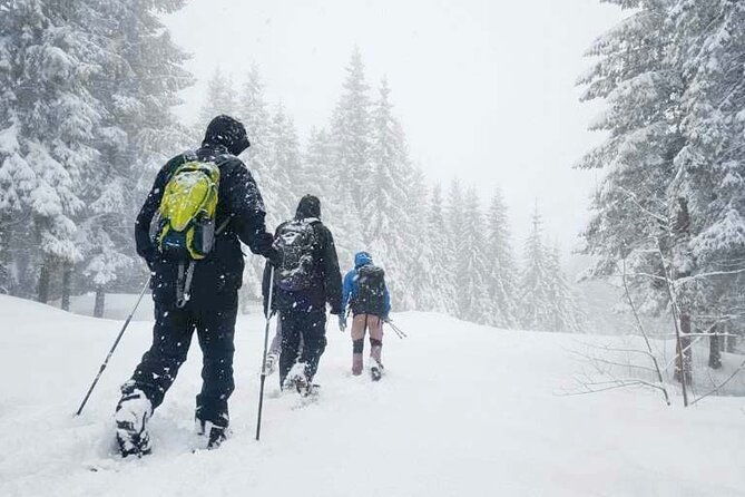 snowshoe-tour-in-winter-wonderland-oslo-2