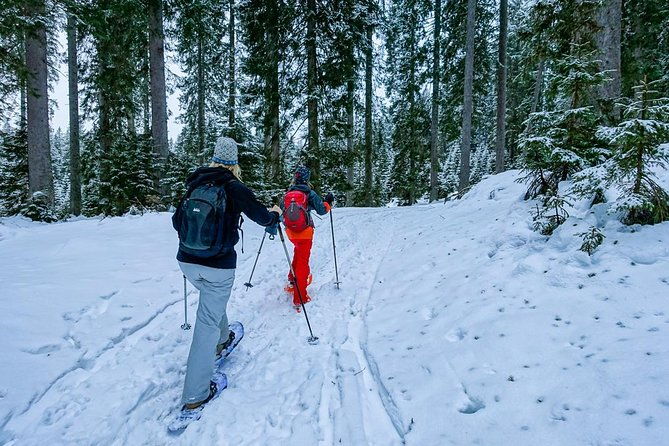 snowshoeing-in-triglav-national-park