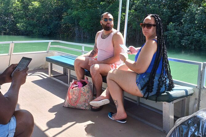 south-coast-tour-to-ys-falls-black-river-safari-and-appleton-rum
