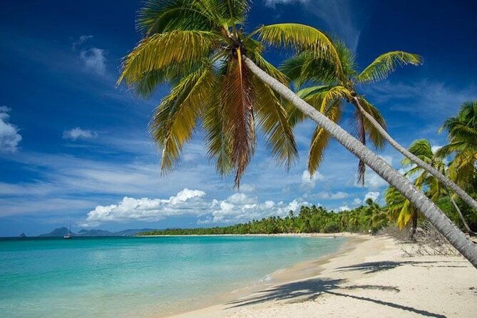 south-panoramic-rum-tasting-les-salines-beach-tour