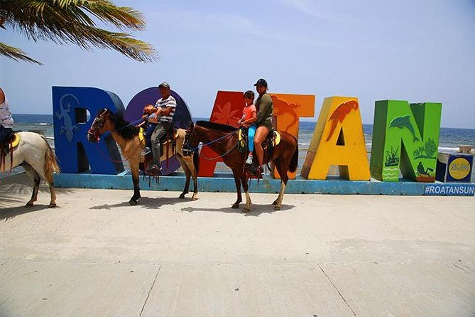 south-side-horseback-riding-beach-break-roundway-transfer