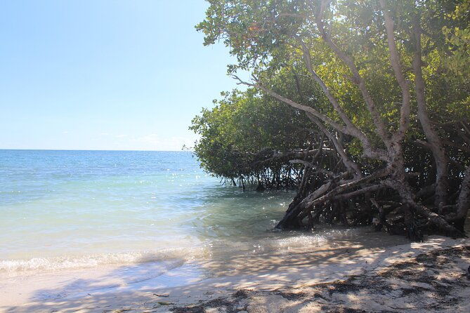 southwest-beach-hopping-day-trip