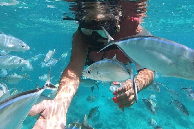 speed-boat-and-snorkeling-in-punta-cana-bavaro