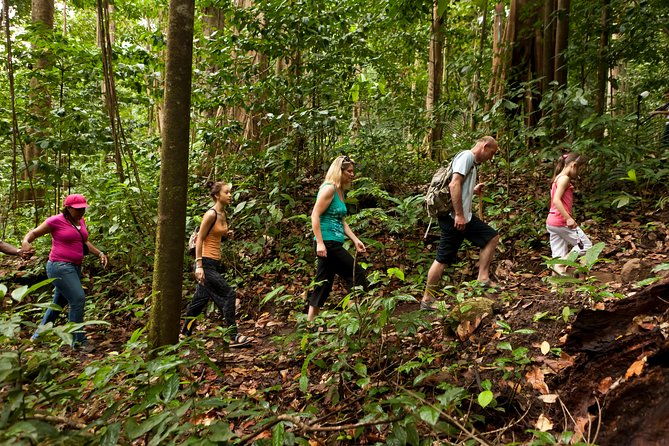 st-lucia-jacquot-trail-hike-at-rainforest-adventures