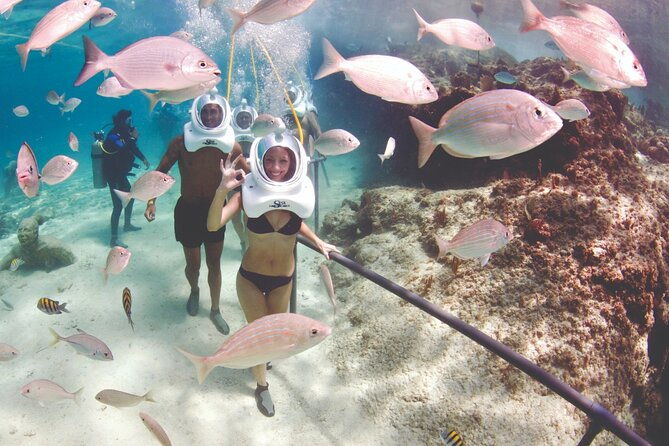st-maarten-seatrek-and-snorkeling-adventure