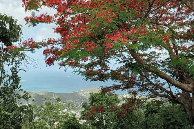 st-martin-st-maarten-small-group-coastal-hike-swim-tour