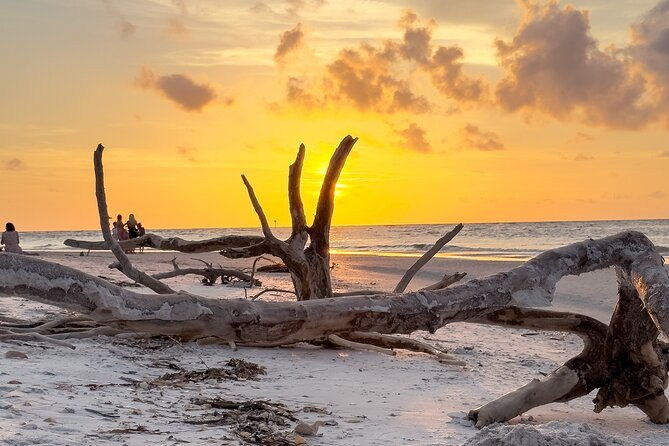 st-pete-dolphin-watching-and-island-sunset-cruise