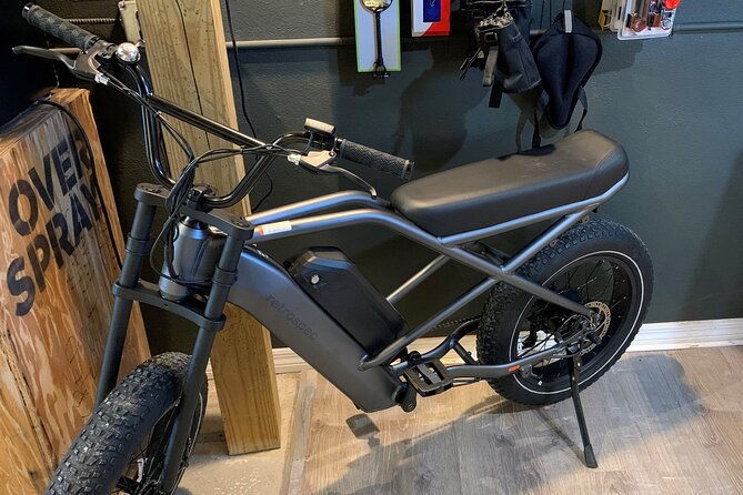 st-pete-e-bike-rentals