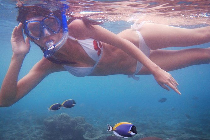 st-thomasst-john-snorkel-swim-beach-trip-on-luxury-mv-hydra