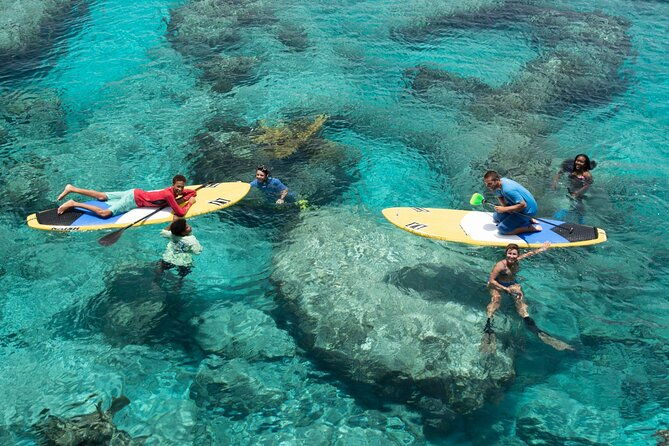 stand-up-paddleboard-eco-tour
