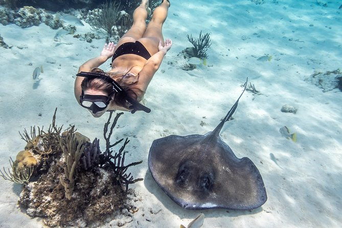 starfish-point-stingray-city-sandbar-coral-gardens