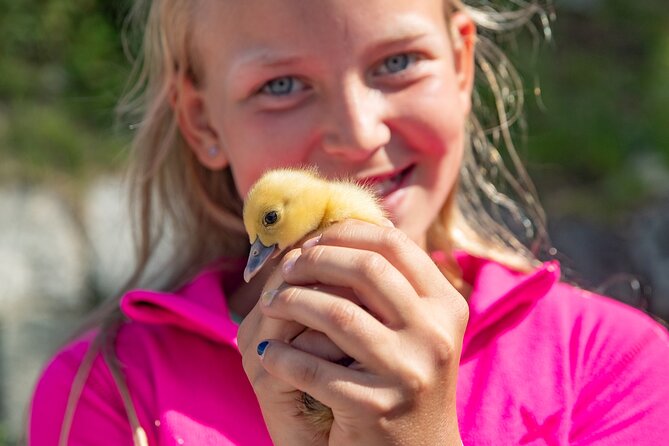 steim-farm-experience-in-vik-norway
