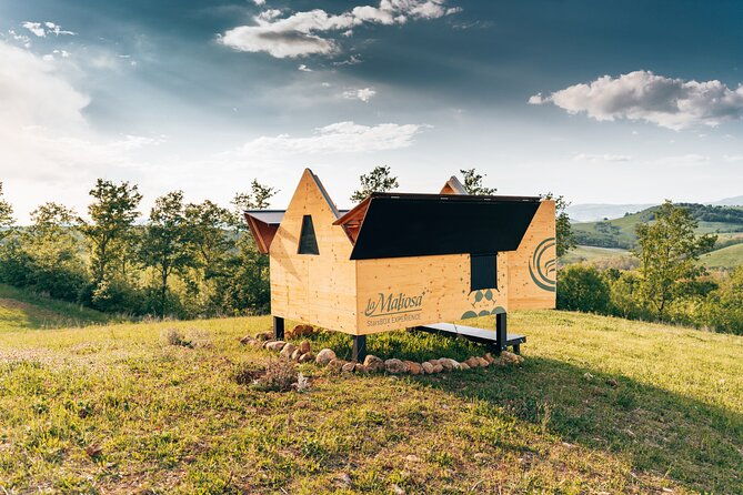stellar-picnic-delight-at-sunset-in-the-tuscan-countryside