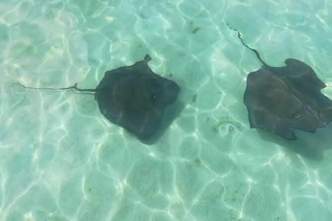 stingray-city-experience-devils-bridge-and-long-bay-beach