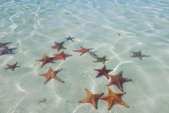 stingray-city-experience-plus-two-snorkeling-spots-private-boat