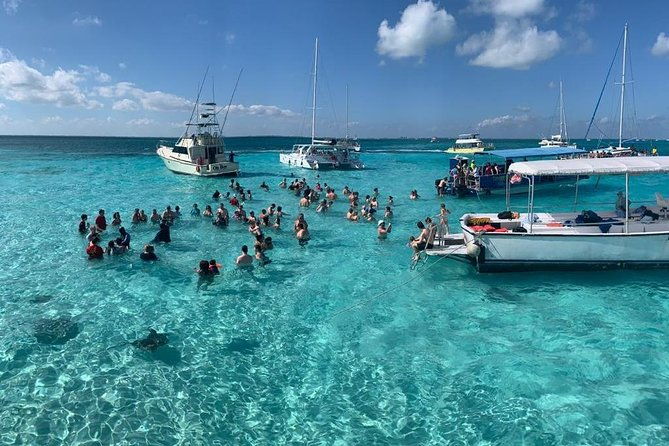 stingray-city-sandbar-coral-gardens-snorkeling-starfish-point