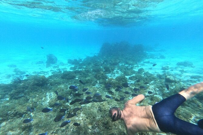 stingray-city-star-fish-point-and-snorkeling-private-boat-tour