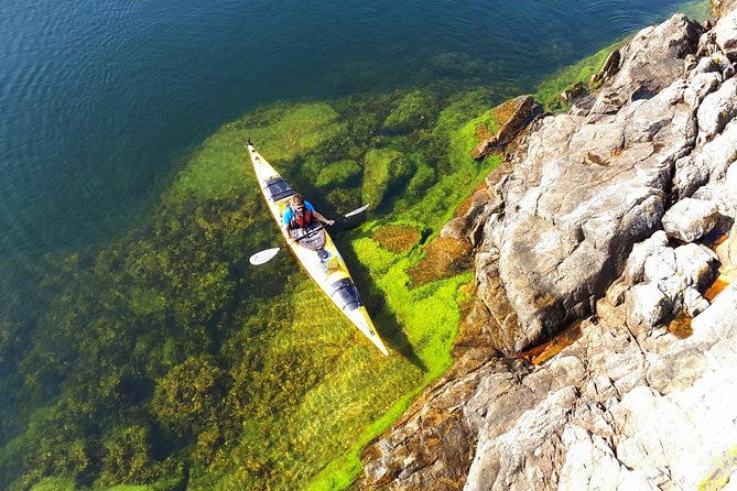 stockholm-archipelago-kayaking-day-tour-2
