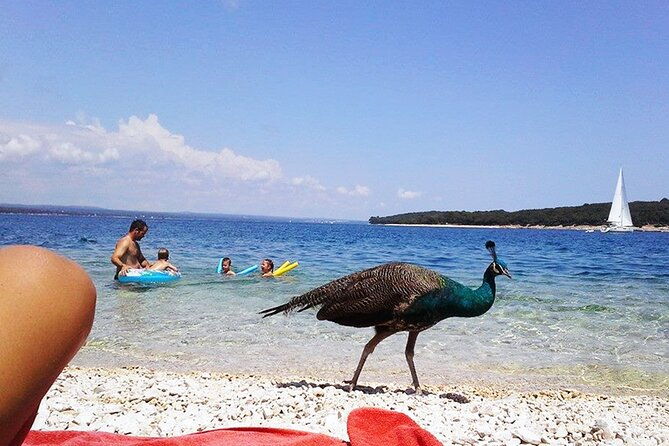 stop-on-island-national-park-day-cruise-with-lunch-drinks