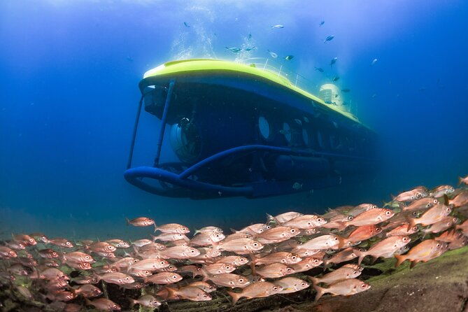 submarine-adventure-submarine-excursion-in-puerto-de-mogan