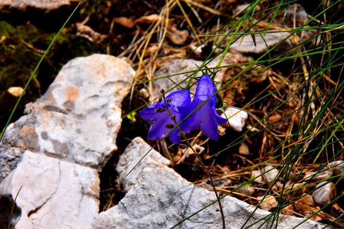 summit-albania-hiking-holy-mount-of-tomorroff-road-albania-berat-arg