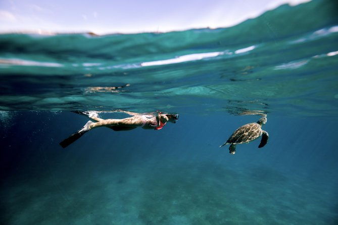 sunday-funday-turtle-cove-snorkel-water-island-beach-excursion