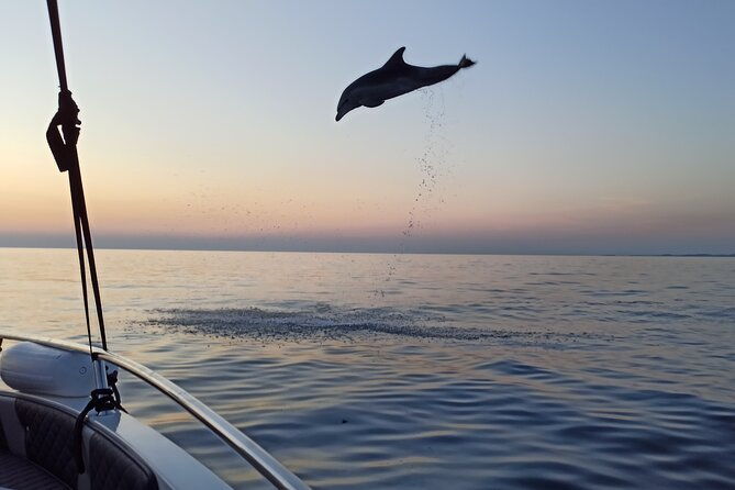 sunrise-dolphins-fishermen-at-work-speedboat-tour-in-rovinj