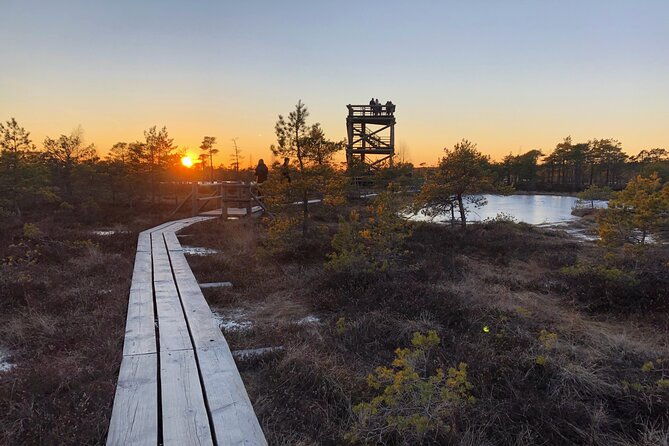 sunset-at-kemeri-national-park-2