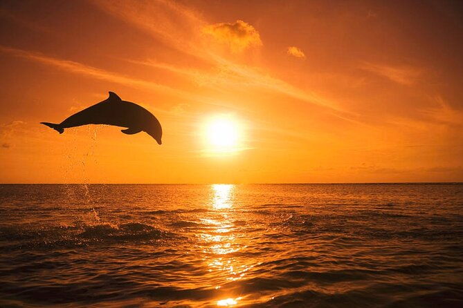 sunset-boat-tour-around-anna-maria-island