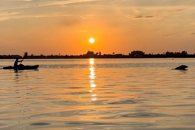 sunset-kayaking-with-dolphins-2