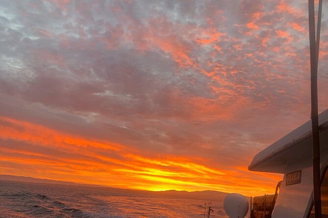 sunset-whale-watch-tour-in-monterey