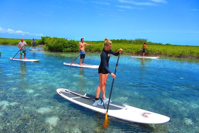 sup-paddleboard-lesson-and-tour-port-canaveral-cocoa-beach