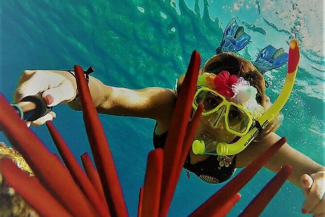 super-raft-private-charter-maui-3-hour-snorkel-to-coral-gardens-or-molokini-2