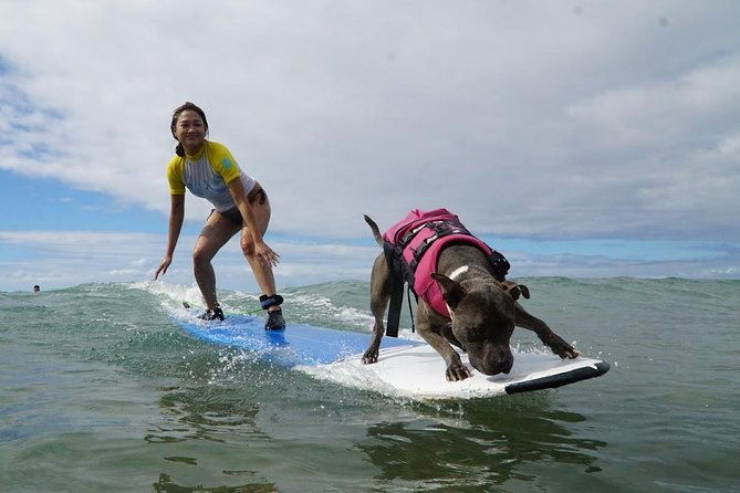 surf-with-a-service-animal