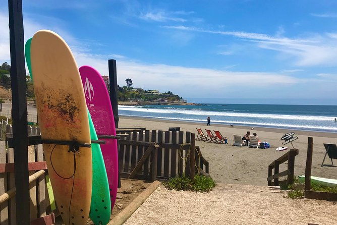 surfing-sandboarding-wild-sea-lions-chilean-drinks-food