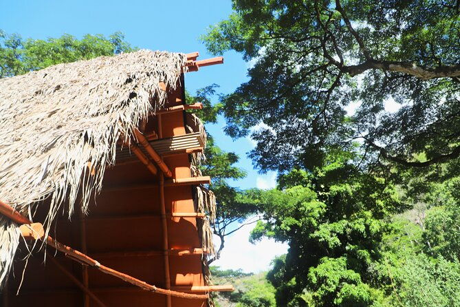 swim-at-oahu-waterfall-in-waimea-with-coffee-lunch-and-dole