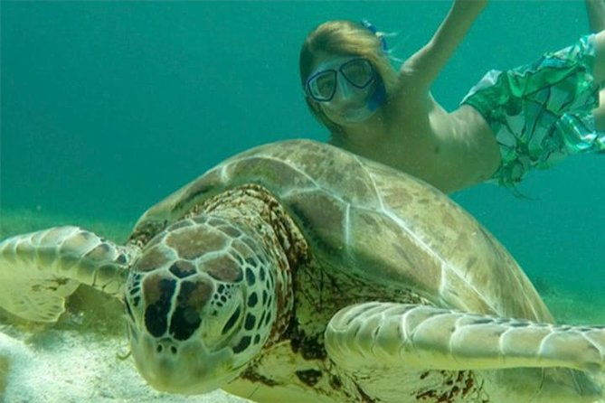 swim-w-turtles-in-st-john-pizza-pi-snorkel-a-shipwreck