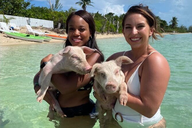 swim-with-the-pigs-and-explore-caves-in-nassau