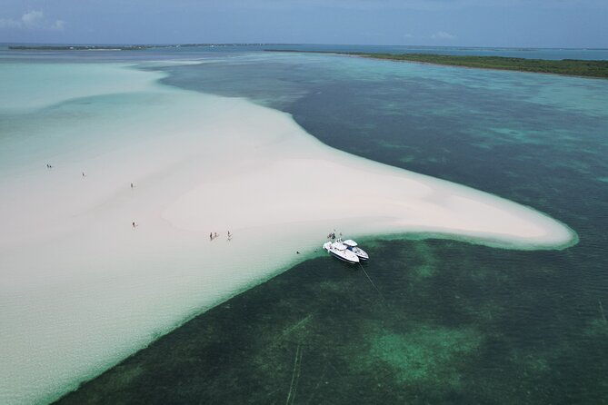 swim-with-the-pigs-half-day-harbour-island-private-boat-tour