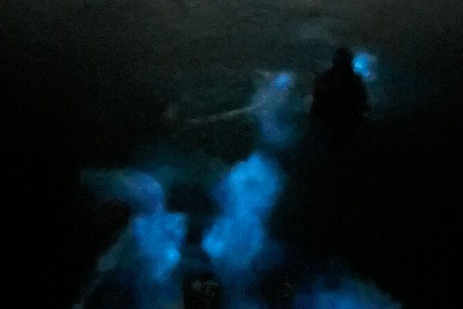 swimming-bioluminiscent-bay-tour-in-la-parguera