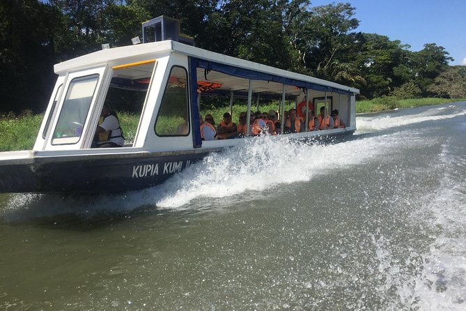 tamarindo-wildlife-estuary-boat-ride-tour-2-hours