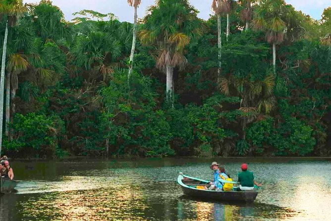 tambopata-chuncho-macaw-clay-lick-3-days